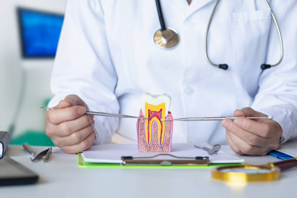 Best Walk-In Emergency Dentist in Lewistown, IL